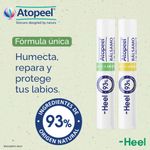 Atopeel-Balsamo-Lip-Protect---Vainilla-10